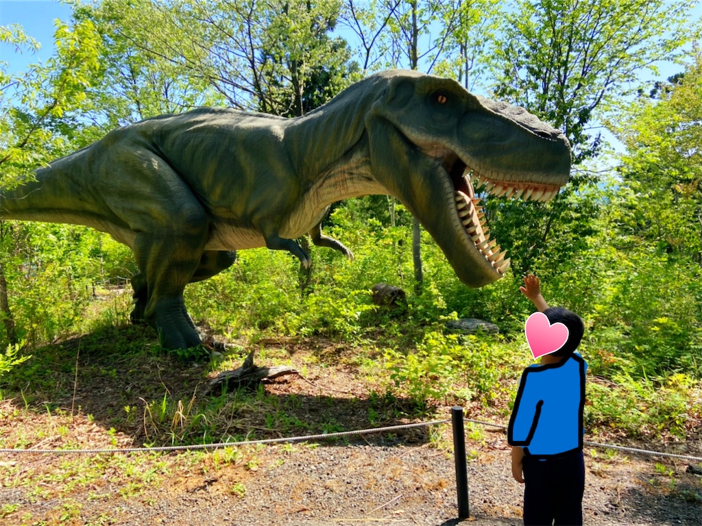 f:id:shiratamaotama:20220506174625j:image