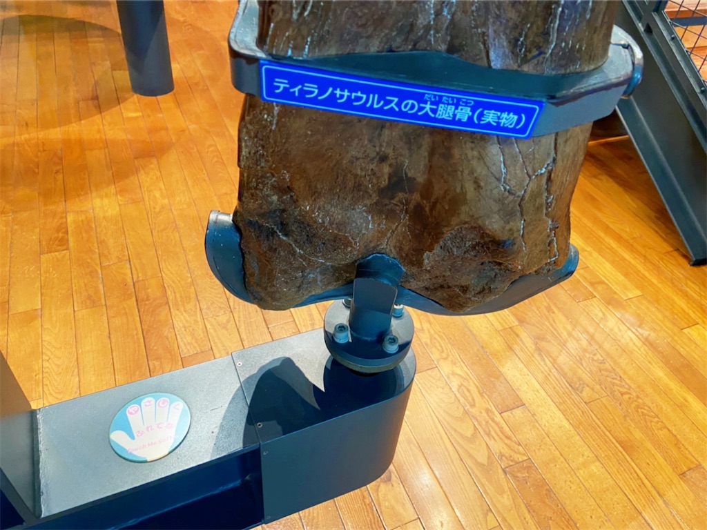 f:id:shiratamaotama:20220506174633j:image