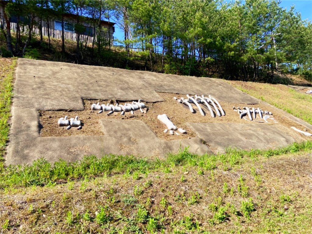 f:id:shiratamaotama:20220506174651j:image