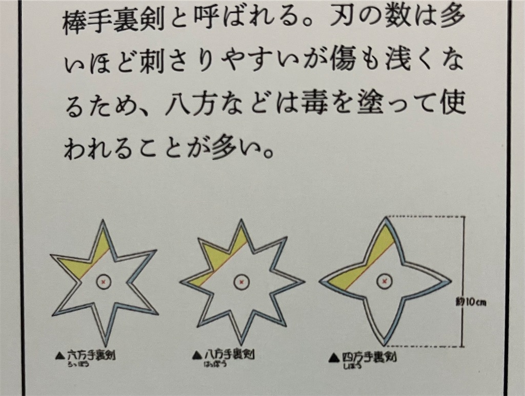 f:id:shiratamaotama:20250106220326j:image