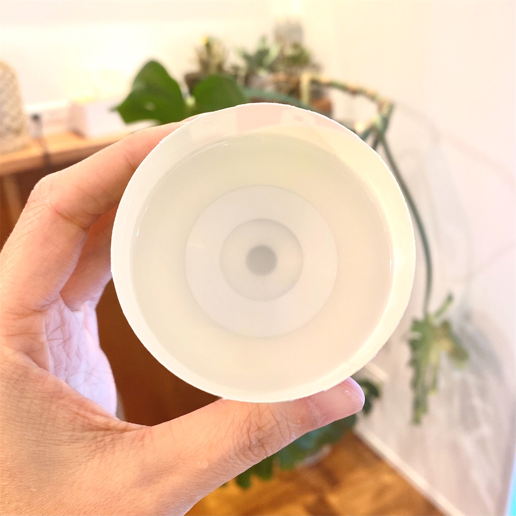 空音 Planet Tree アナログ7インチレコード 2025年最新】空音 レコードの人気アイテム - メルカリ