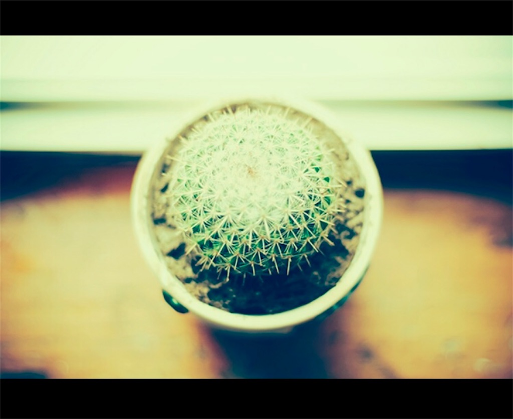 f:id:shiratamarr:20211123152804j:image