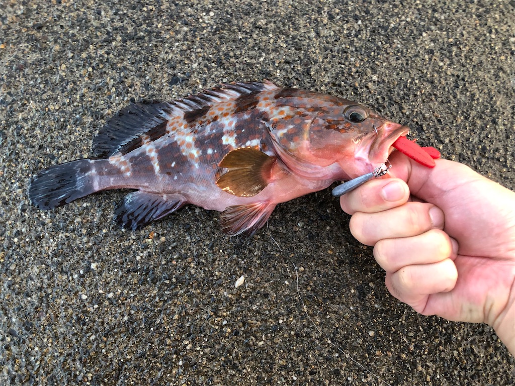 f:id:shiratamarr:20220917161133j:image