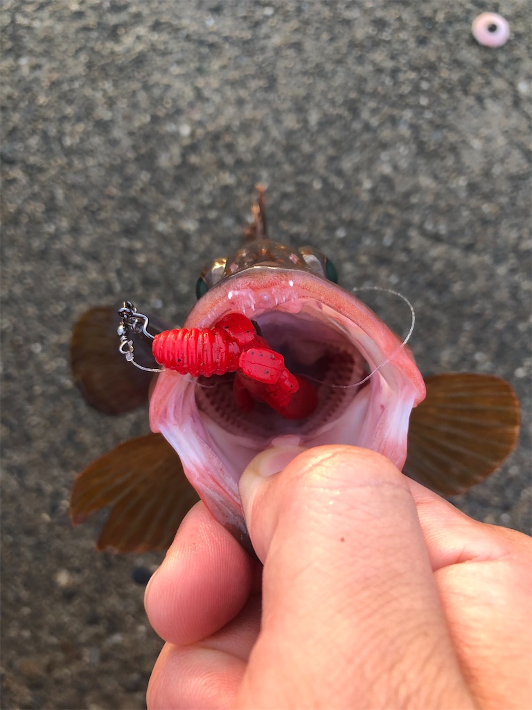 f:id:shiratamarr:20220917161139j:image