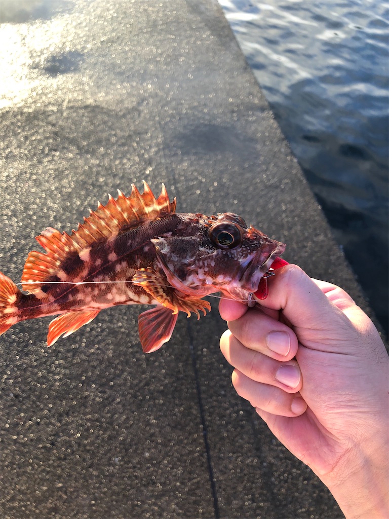 f:id:shiratamarr:20220917161145j:image