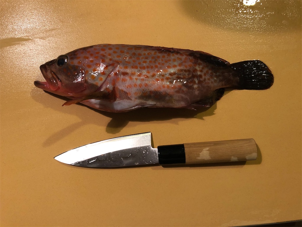 f:id:shiratamarr:20220917165653j:image