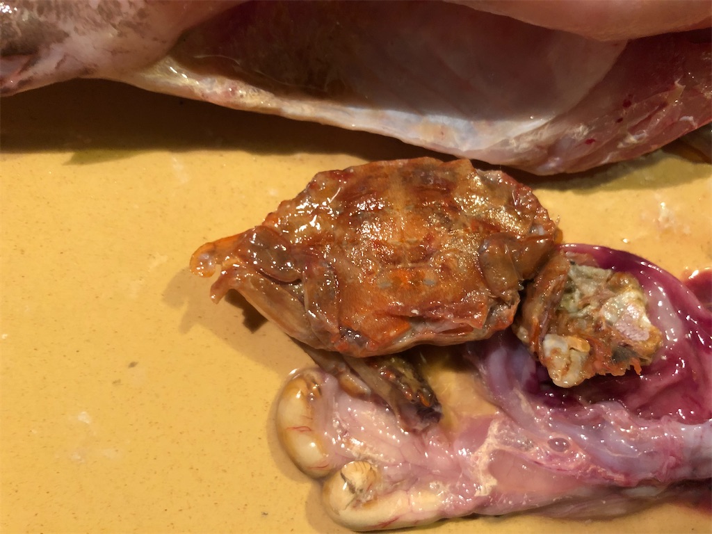 f:id:shiratamarr:20220917165657j:image