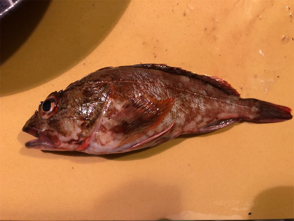 f:id:shiratamarr:20220917165954j:image