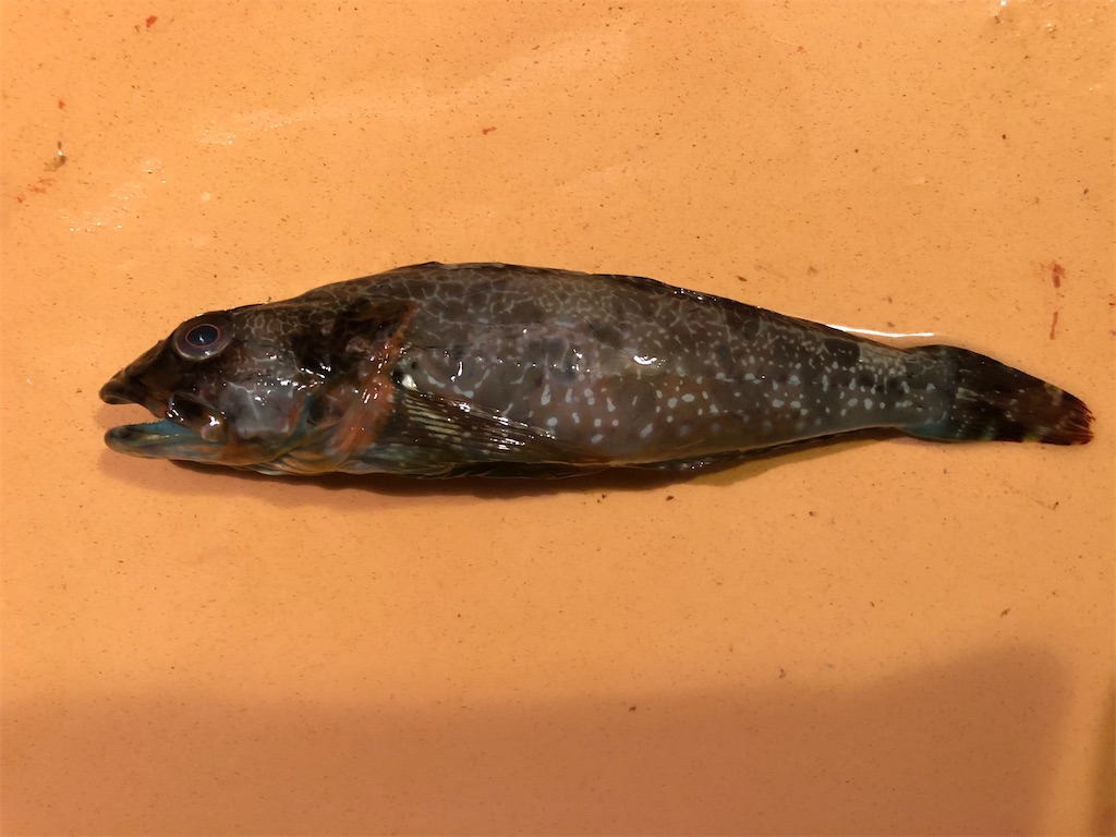 f:id:shiratamarr:20220917165957j:image