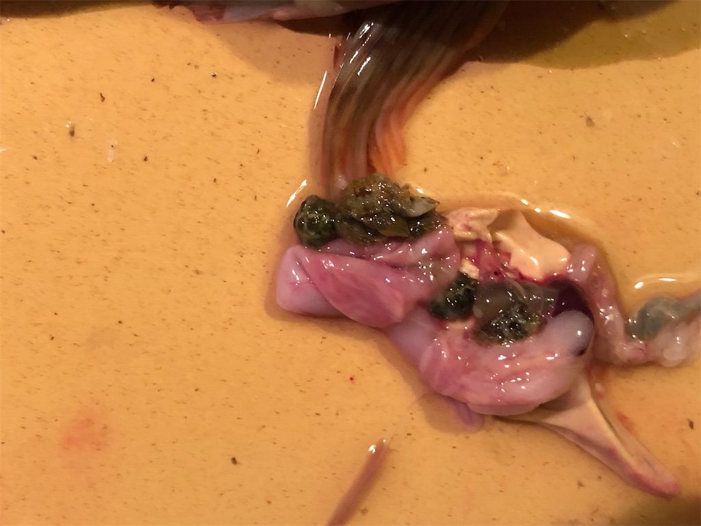 f:id:shiratamarr:20220917170009j:image