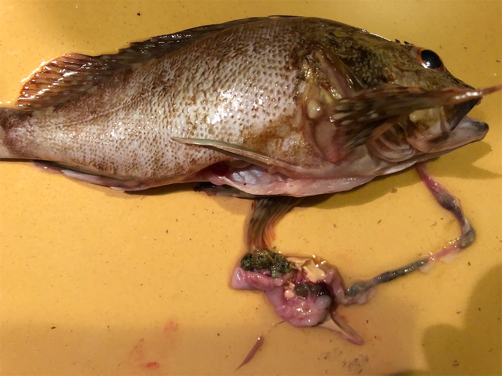 f:id:shiratamarr:20220917170015j:image