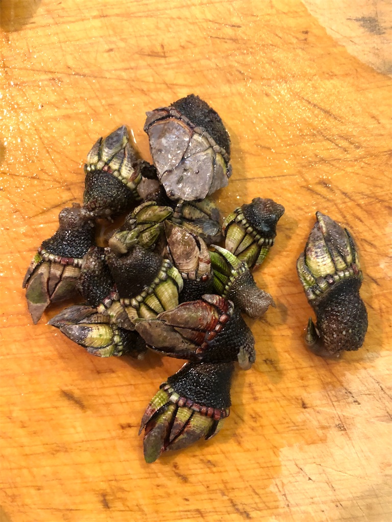 f:id:shiratamarr:20221005084612j:image