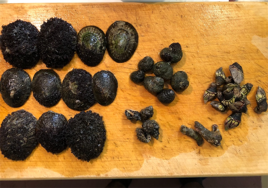 f:id:shiratamarr:20221005084617j:image