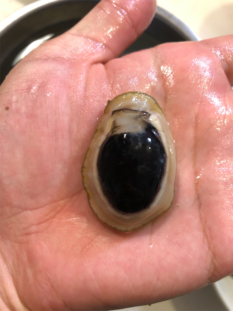 f:id:shiratamarr:20221005084629j:image