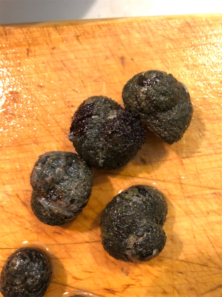 f:id:shiratamarr:20221005084634j:image