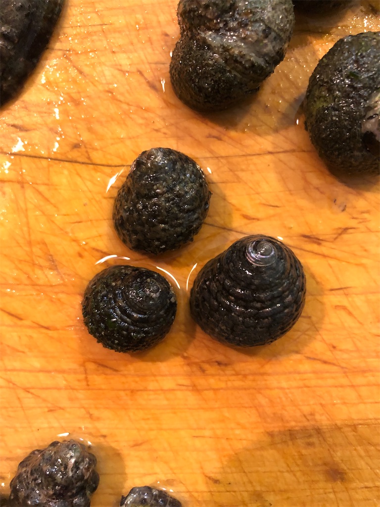 f:id:shiratamarr:20221005084638j:image