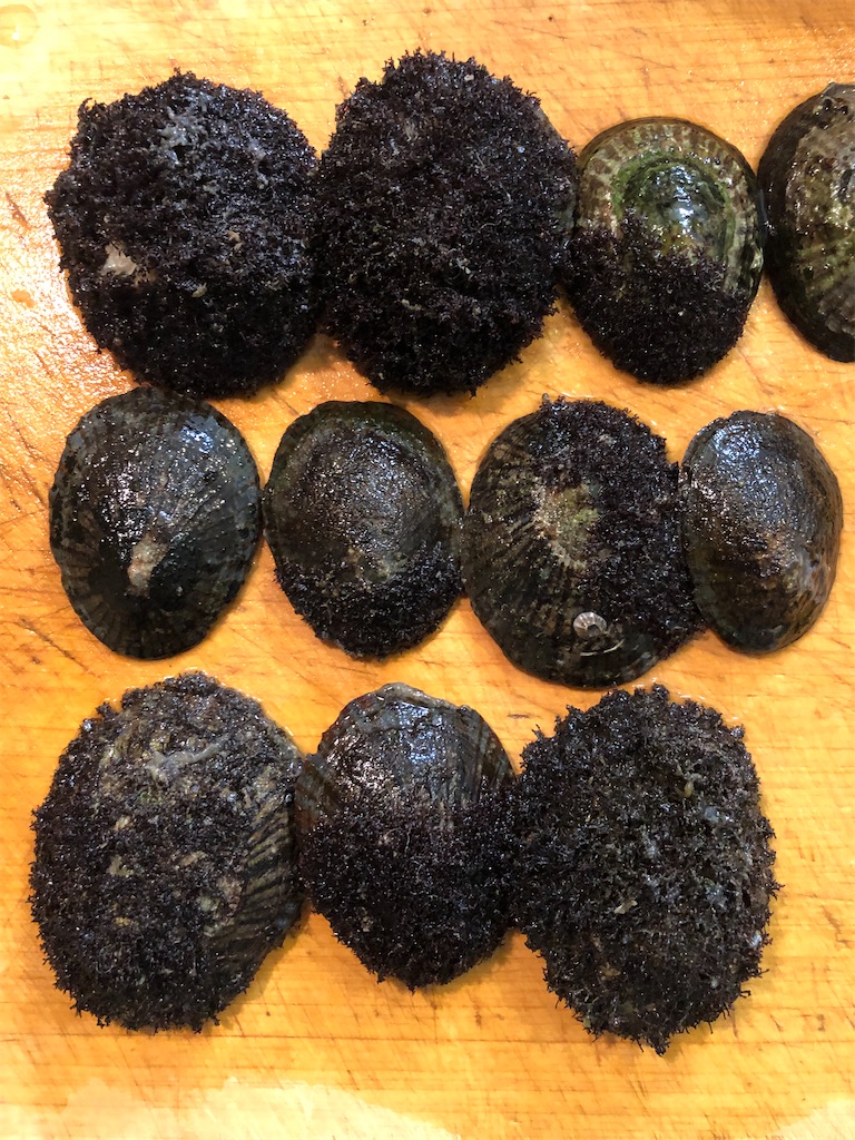 f:id:shiratamarr:20221005084644j:image