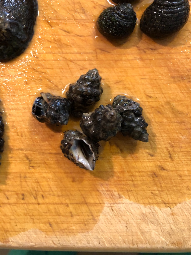 f:id:shiratamarr:20221005084649j:image