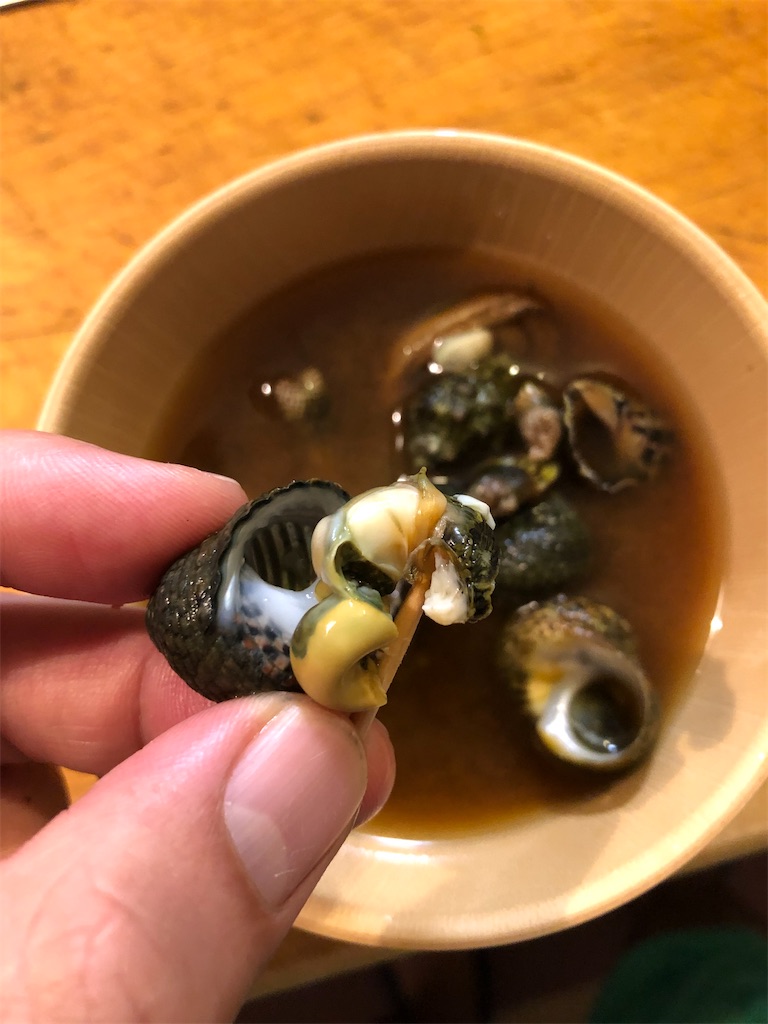 f:id:shiratamarr:20221008214815j:image