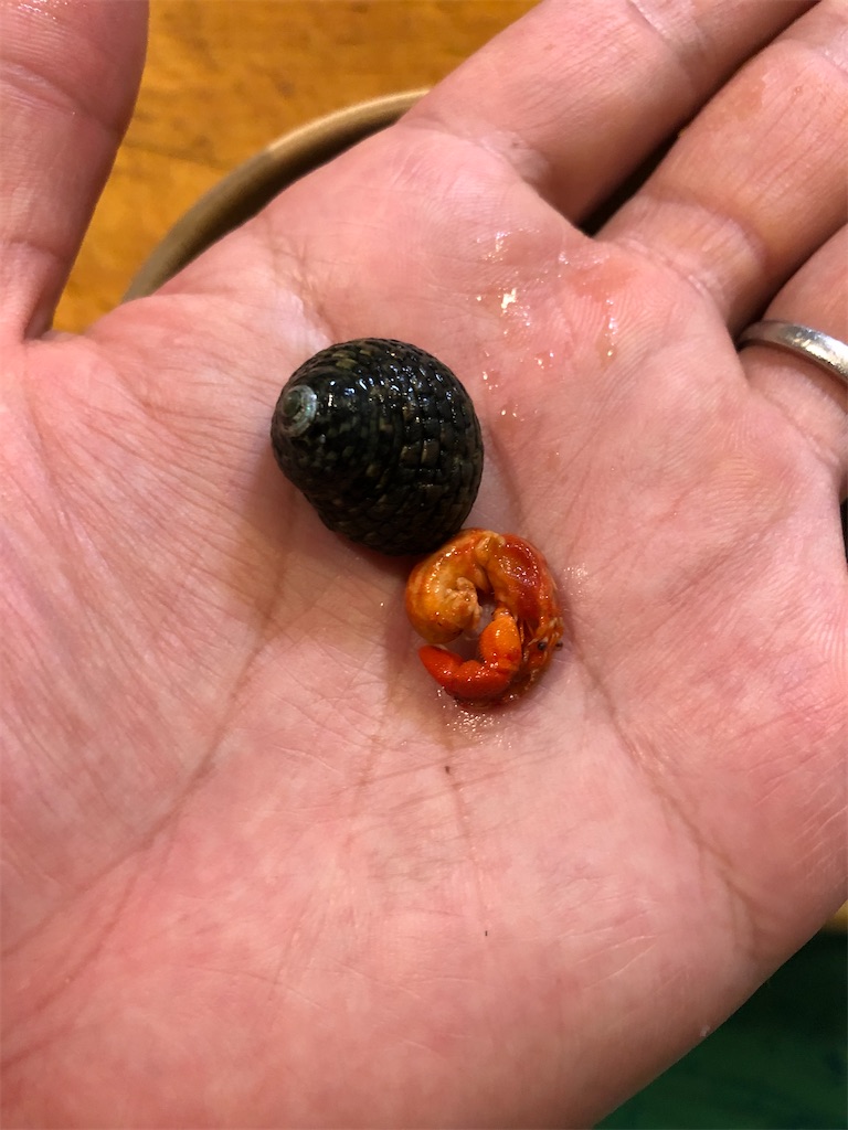 f:id:shiratamarr:20221008214826j:image