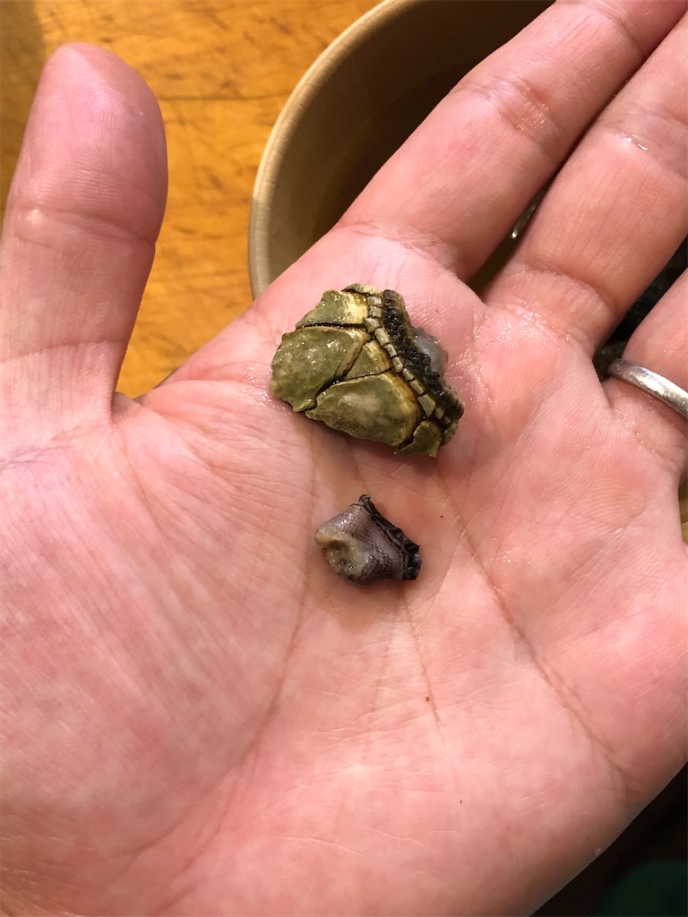 f:id:shiratamarr:20221008214844j:image