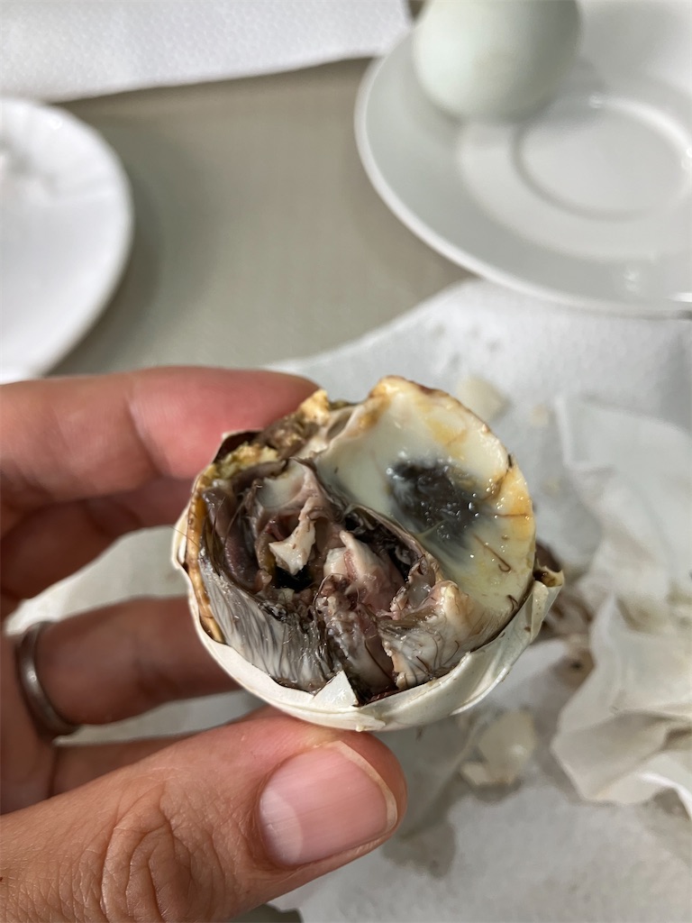 f:id:shiratamarr:20240601144920j:image f:id:shiratamarr:20240601144920j:image