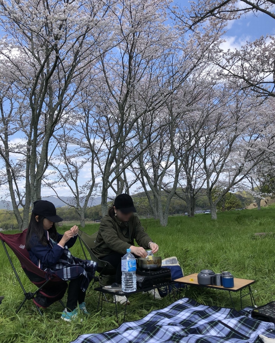 f:id:shiratsume:20200406163115j:plain