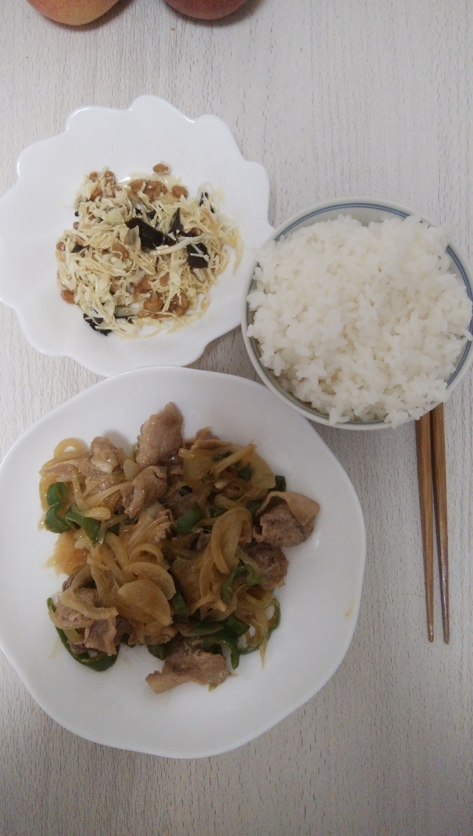 f:id:shirayuki-diary:20210519000048j:plain