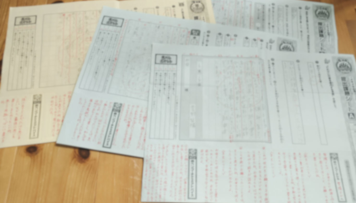 ブンブンどりむ メキメキ応用コース 4冊セット ブンブンどりむ メキメキ応用コース（4年生）メインテキスト1年