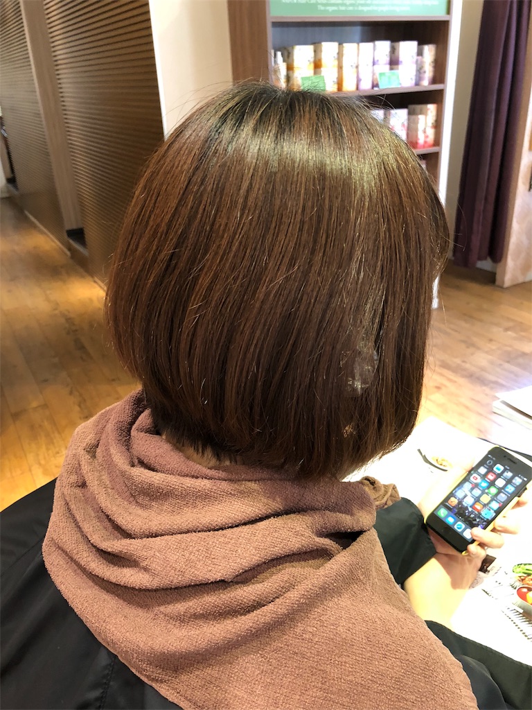 f:id:shiremi1216:20180701191052j:image
