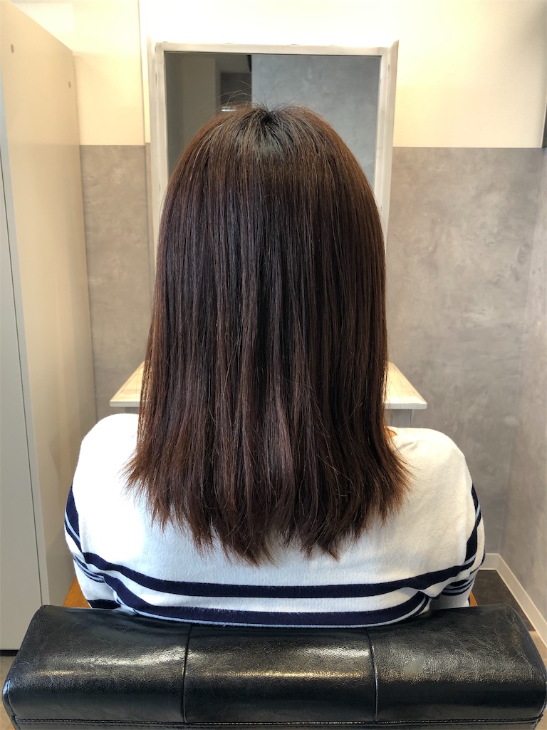 f:id:shiremi1216:20191114001142j:image