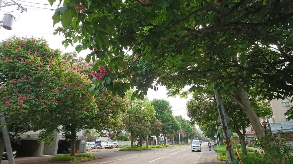 f:id:shirleypoppy:20180603204039j:plain f:id:shirleypoppy:20180603204039j:plain