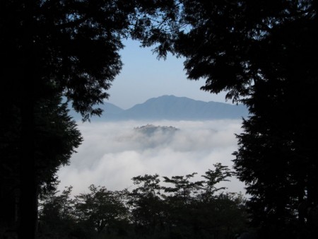f:id:shiro-kurage:20111009235528j:image
