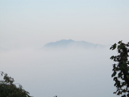 f:id:shiro-kurage:20111009235622j:image