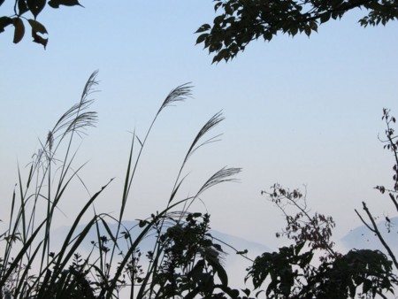 f:id:shiro-kurage:20111009235624j:image