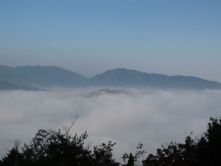 f:id:shiro-kurage:20111009235951j:image