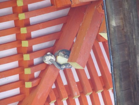 f:id:shiro-kurage:20111014225714j:image