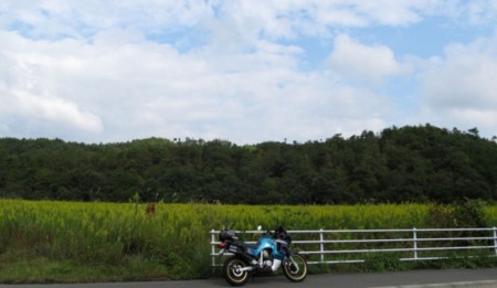 f:id:shiro-kurage:20121007224057j:image f:id:shiro-kurage:20121007224057j:image