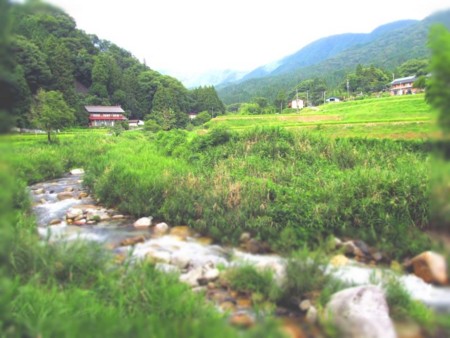 f:id:shiro-kurage:20130821235841j:image