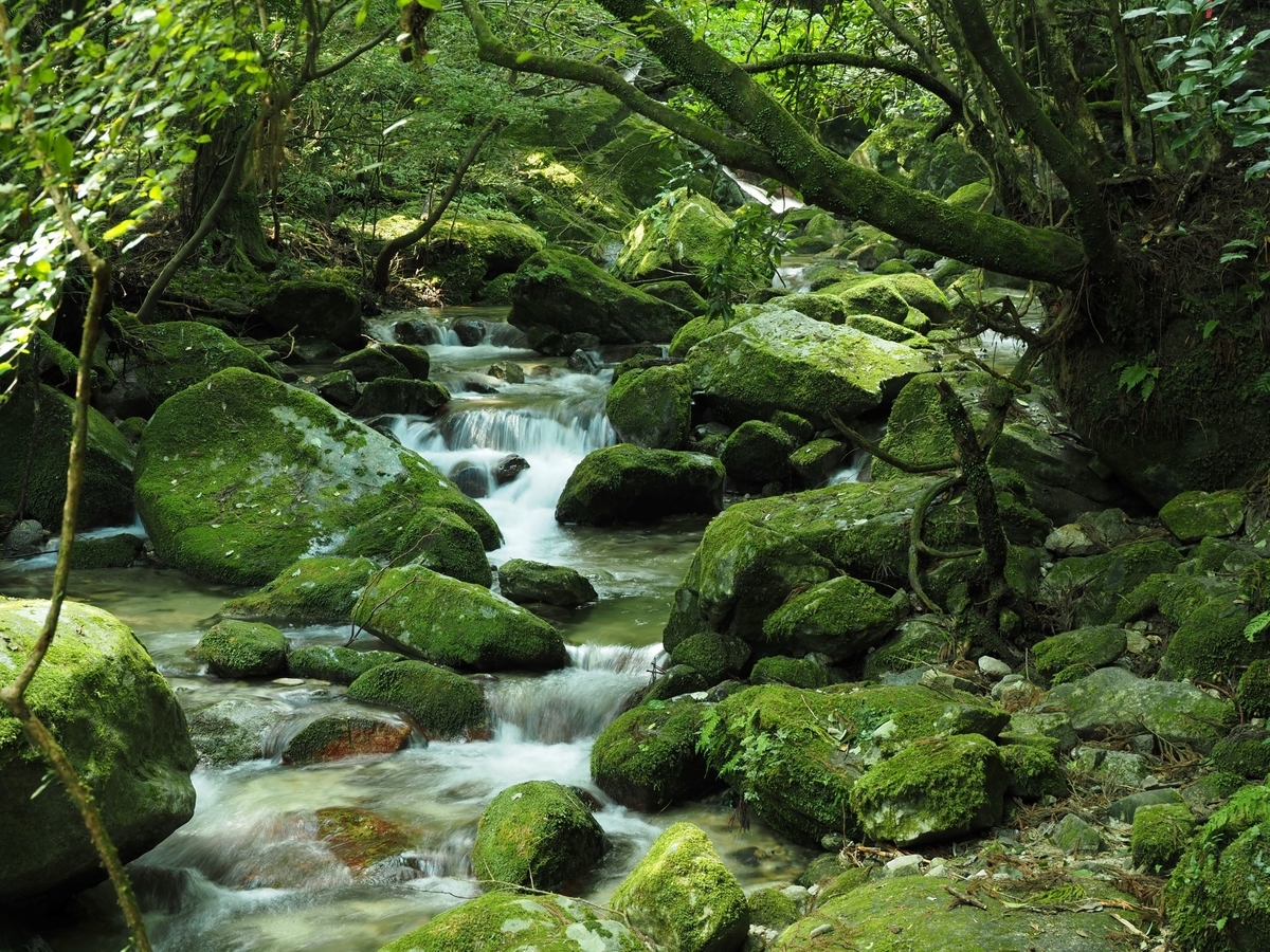 金山渓谷あ 金山渓谷あ