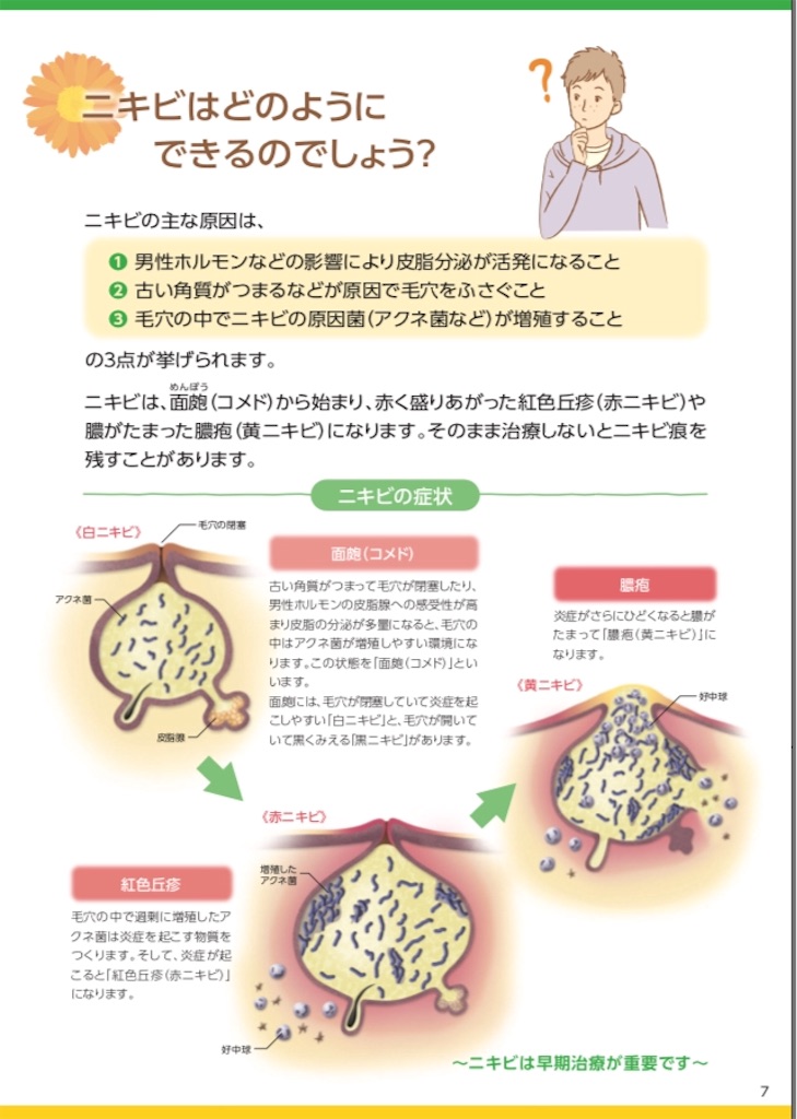 f:id:shiro007:20201206104510j:image f:id:shiro007:20201206104510j:image