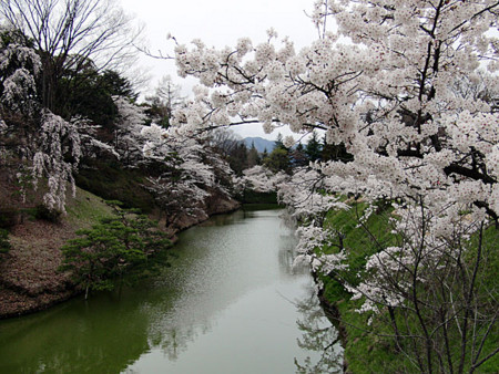 f:id:shiro0922:20100415112454j:image