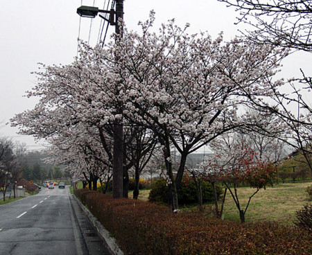 f:id:shiro0922:20100416170447j:image