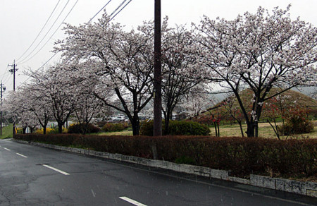 f:id:shiro0922:20100416170635j:image