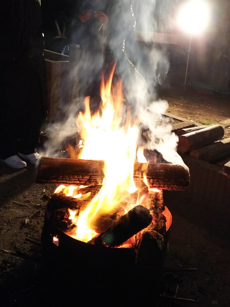 f:id:shiro365:20190102162242j:plain