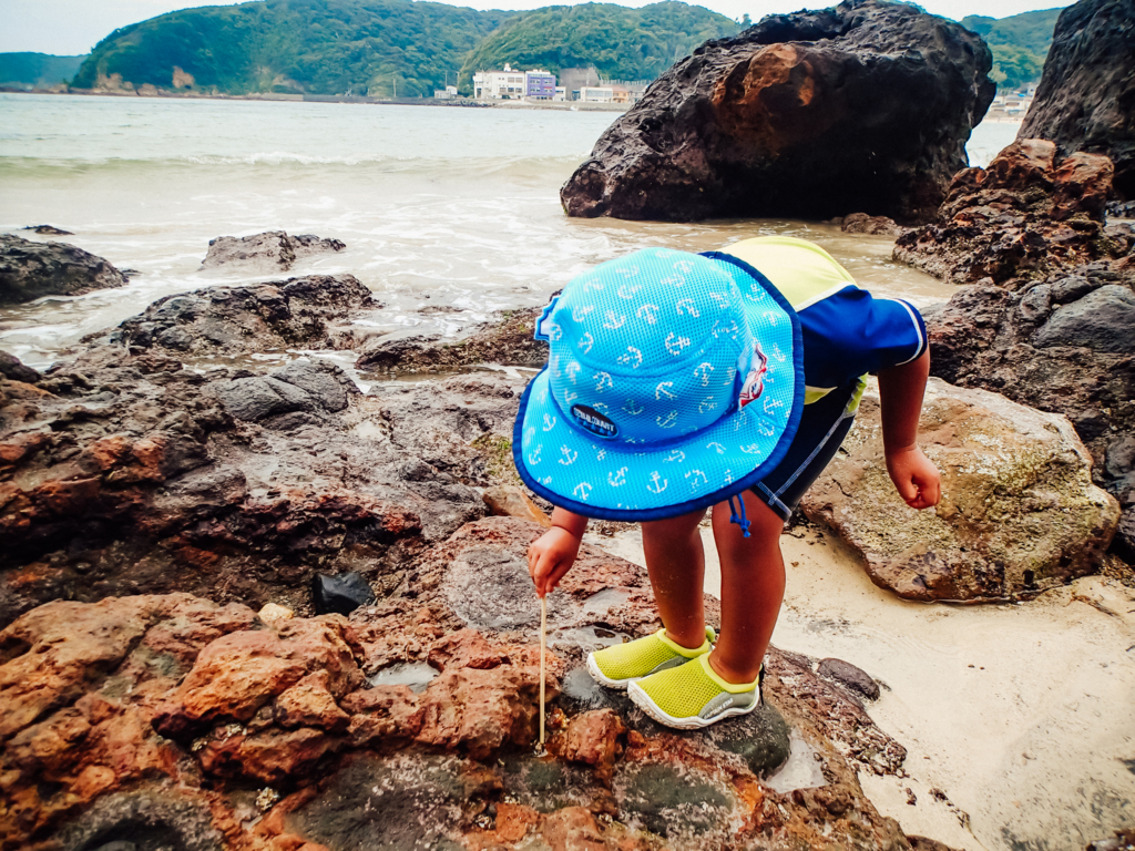 f:id:shiro82:20151129222300j:plain f:id:shiro82:20151129222300j:plain