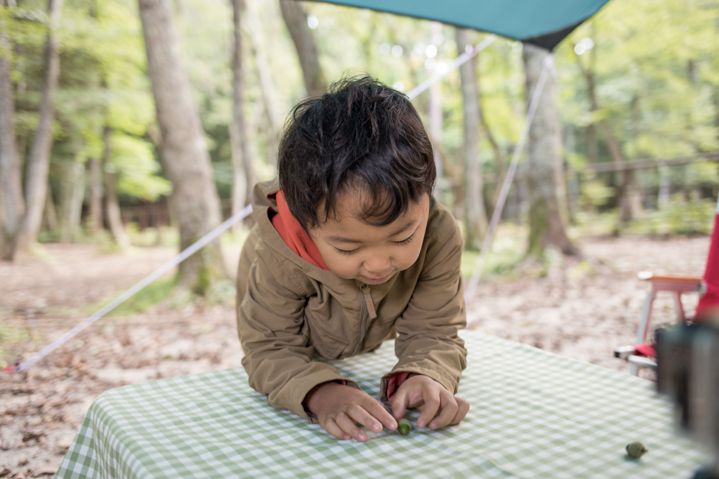 f:id:shiro82:20151204133422j:plain f:id:shiro82:20151204133422j:plain