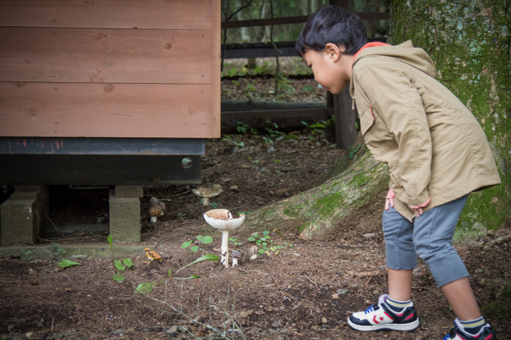 f:id:shiro82:20151204133431j:plain f:id:shiro82:20151204133431j:plain