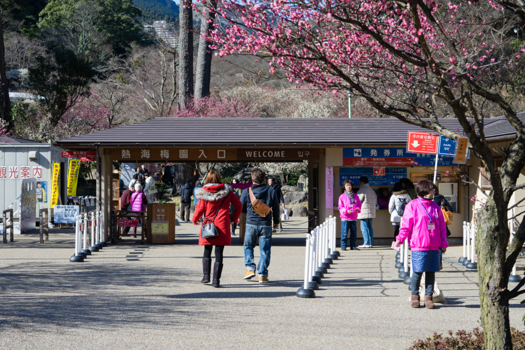 f:id:shiro82:20170119225243j:plain