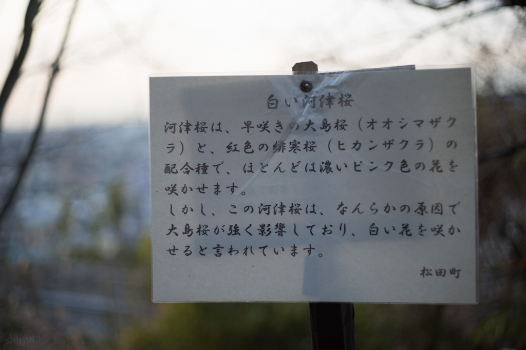 f:id:shiro82:20170214162615j:plain